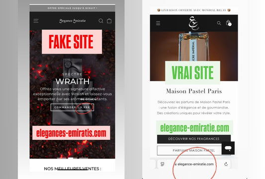 Protégez-vous contre les arnaques en ligne : Faux sites, URL trompeuses et publicités mensongères